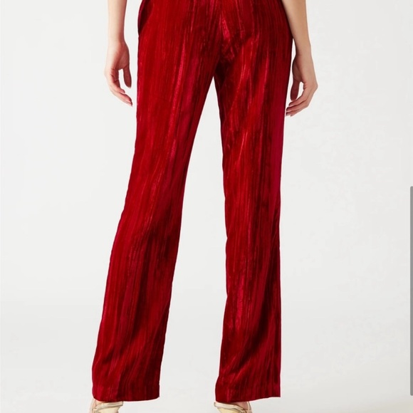 Velvet pants - Steve Madden - Picture 2 of 8